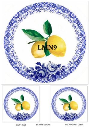 Rice Paper - LMN 9