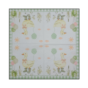 Napkin - 001