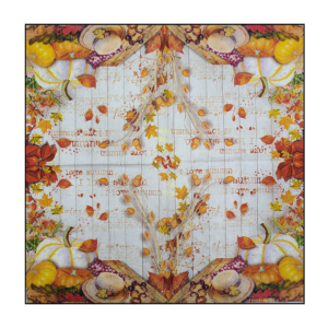 Napkin - 026