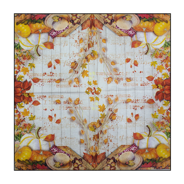 Napkin - 026