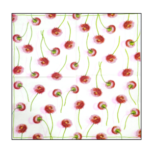 Napkin - 029