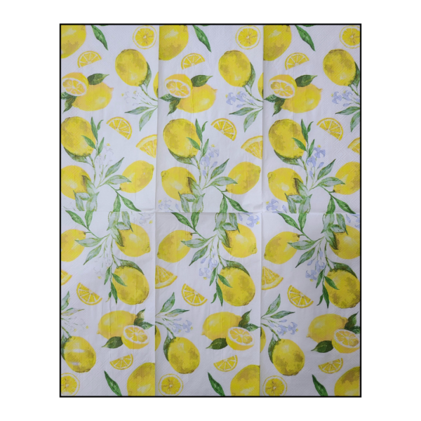 Napkin - 011
