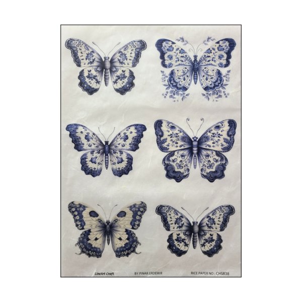 Rice Paper - CHSR 38