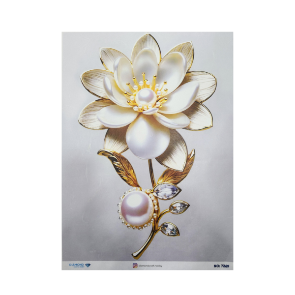 Rice Paper - 7269